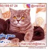 Логотип телеграм канала @irrennd — Пряжа из Италии. Ирина.