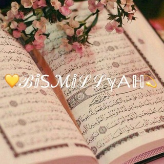 Логотип телеграм канала @islam_napominay — 🕊️ B i Տ M i L Y A H