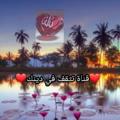 Logo saluran telegram islam2222 — قناة القرآن والسنة النبوية <تثقف في دينك>📚