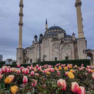لوگوی کانال تلگرام islamiy_s — ꧁𝑰𝑺𝑳𝑨𝑴꧂