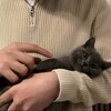 Логотип телеграм канала @islamski_kartinka — 🖤