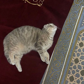 لوگوی کانال تلگرام islamskie_002 — _islam_sabr_01_🫀