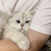 Логотип телеграм канала @islamskiy_mir_08 — 𝐈𝐬𝐥𝐚𝐦𝐬𝐤𝐢𝐲 𝐦𝐢𝐫ོ🕋