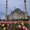 Логотип телеграм канала @islamskiye_citati — Исламские цитаты🌙