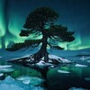 Логотип телеграм канала @island_north — Северный Остров