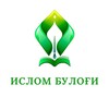 Telegram channel Ислом Булоғи logo