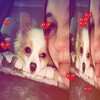 Логотип телеграм канала @islovme — 🪽