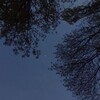 لوگوی کانال تلگرام ismlvva_as — حب