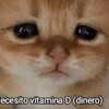 Логотип телеграм канала @isp_lumpena — исповедь люмпена.