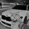 Логотип телеграм канала @issamsoker4 — Микрофоны