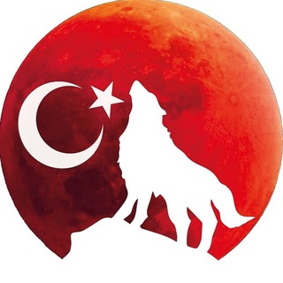 Логотип телеграм канала @istanbul_wolf — Стамбульский волк