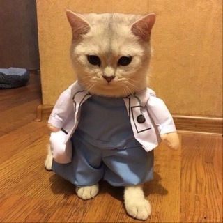 Telegram channel ️ ️ 𝐏𝐚𝐧𝐚𝐝𝐨𝐥 🩺💊بـنــــدول logo
