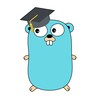 Логотип телеграм канала @it_golang — Go & IT