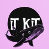 Логотип телеграм канала @it_kitaev — IT КИТ