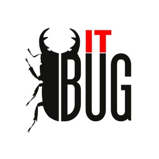 Логотип телеграм канала @itbugchannel — IT Bug (Основные сущности)