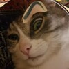 Логотип телеграм канала @itdigdkggg — Кефир