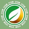 Логотип телеграм канала @iteamarket — iTEA Market