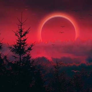 Логотип телеграм канала @itertenebris — Тропинка в чащу ( Магия , оккультизм )