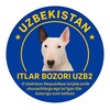 Telegram kanalining logotibi itlargrupa — https://t.me/Itlar_bozori_UZB2