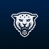 Логотип телеграм канала @itmo_poker — Спортивный покер | Кронверкские барсы | ИТМО
