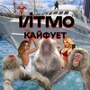 Логотип телеграм канала @itmokaif — ИТМО Кайфует