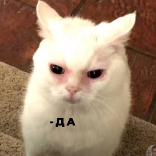 Telegram channel ИТОГОВОЕ СОЧИНЕНИЕ 2022-2023 @botaem_with_lisa logo