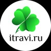 Логотип телеграм канала @itravichanel — Микрозелень семена "Ильинские проростки" интернет магазин