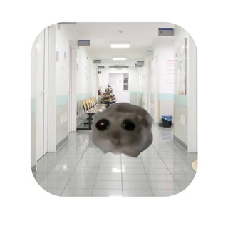 Логотип телеграм канала @its_my_l1ve — Жизненные пикчи