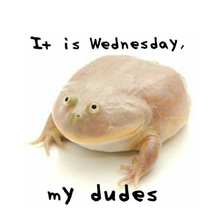 Логотип телеграм канала @its_wednesdaymydudes — It Is Wednesday My Dudes