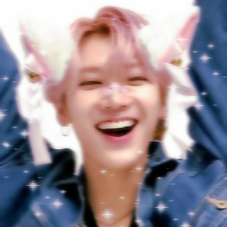 电报频道的标志 itsmycat —  𖠳 ꒰ 私の家猫 🦋 ໒