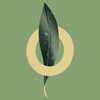 Logo of telegram channel itsmyolife — My OLife® OFFICIAL