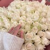 Логотип телеграм канала @itssintesham — синтешам