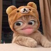 Логотип телеграм канала @itssniikaa — nika ツ