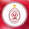Logo of telegram channel ittihadsc — AL ITTIHAD SC ✔