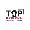 Логотип телеграм канала @ittoppush — IT-TOP Пушкин