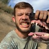 Логотип телеграм канала @ivanov_k9 — Ivanov.k9