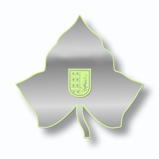 Logo of telegram channel ivy_league — ЛИГА ПЛЮЩА