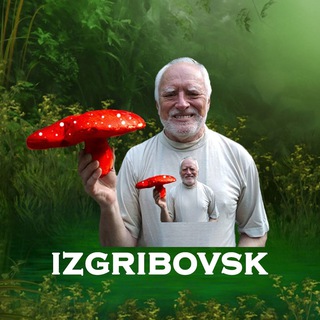 Логотип телеграм канала @izgribovsk — Изгрибовск 🍄