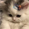Логотип телеграм канала @izmailchiclove — Шизик👠
