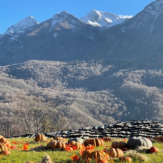 Логотип телеграм канала @iznanka_krd — Iznanka.krd