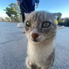 Логотип телеграм канала @izotop_tumanov — изотоп туманова