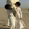 شعار قناة تلجرام j5l5ld — يثوفّ .