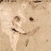 Логотип телеграм канала @j9ne_d0e — jane doe