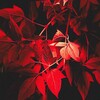 Логотип телеграм канала @j_lms — letmespeak