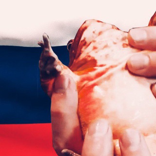 Логотип телеграм канала @jabomania — ЖАБОМАНИЯ