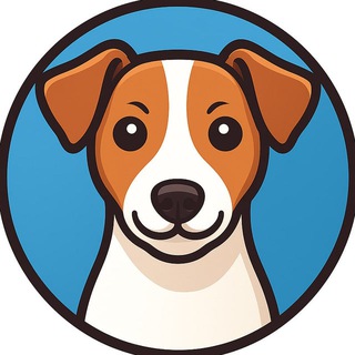 Логотип телеграм канала @jack_russell_channel — Джек Рассел 🐕 Общение и Советы