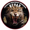Логотип телеграм -каналу jaguar1bop — Працює батальйон "ЯГУАР"