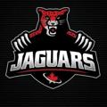 Logo saluran telegram jaguars112 — 𝗝𝗔𝗚𝗨𝗔𝗥𝗦