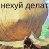 Логотип телеграм канала @jajjestic — Жажжжет