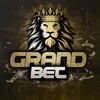 Logo of telegram channel jamesevavo — ⚽️ GRAND BET 🏒